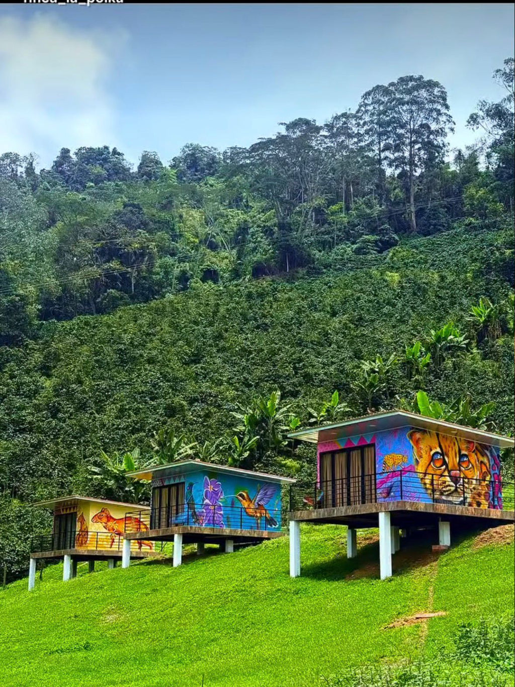 Diseño y Supervisión de Obra. Glamping Finca la Polka. Líbano, Tolima.
