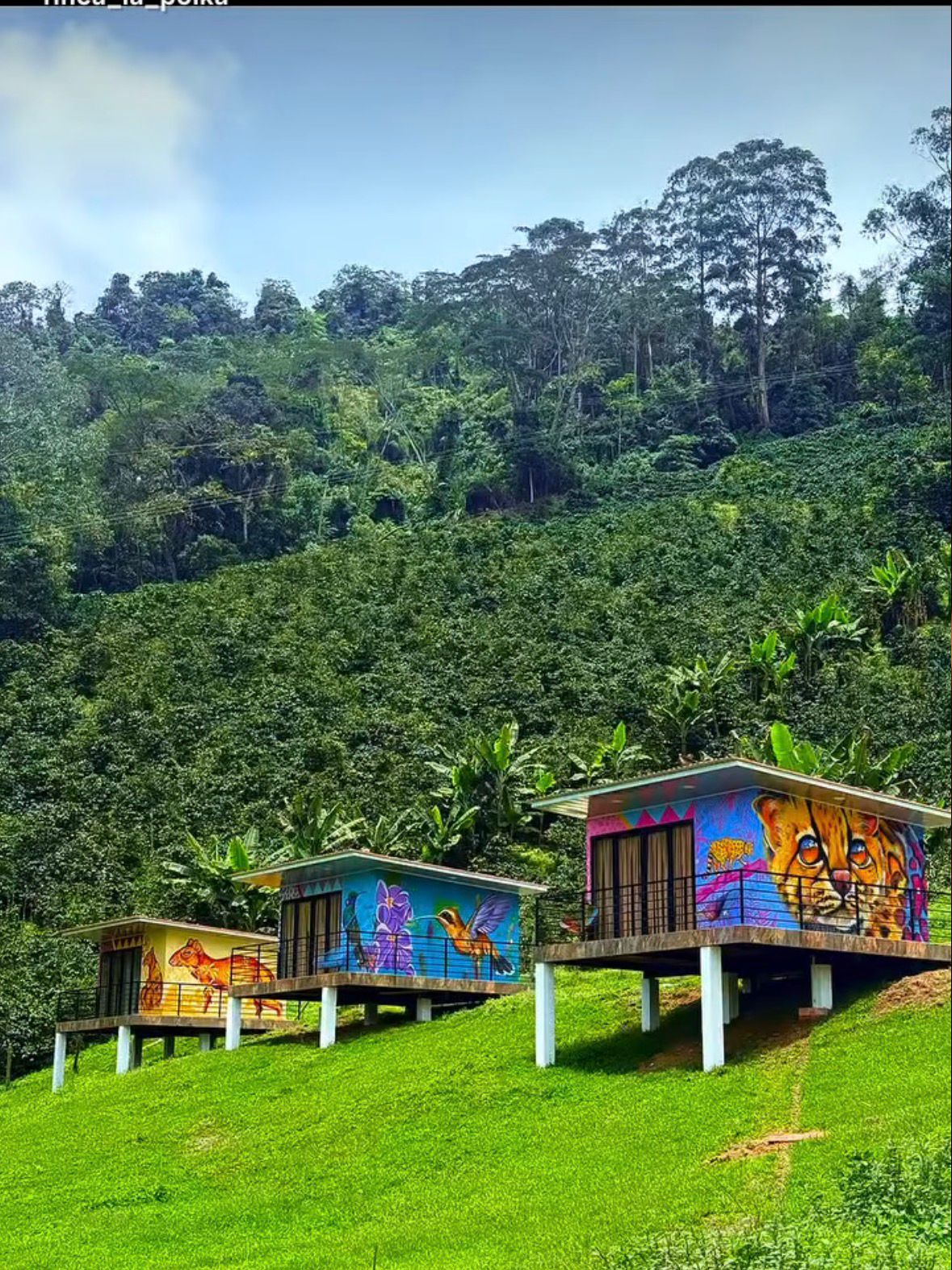 Diseño y Supervisión de Obra. Glamping Finca la Polka. Líbano, Tolima.